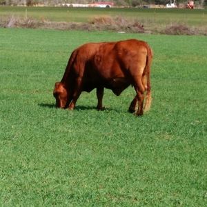 Meet your Posher, Jana